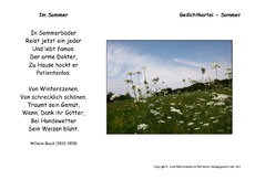 Im-Sommer-Busch.pdf